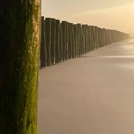 La Maison Du Temps Retrouve A *