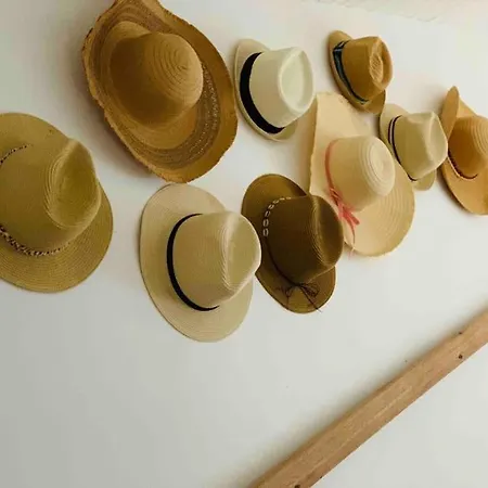 La Maison Du Temps Retrouve A *